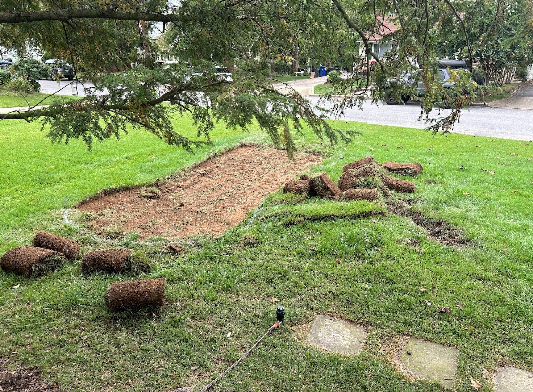 During installation: trenching for PVC and excavating the basin